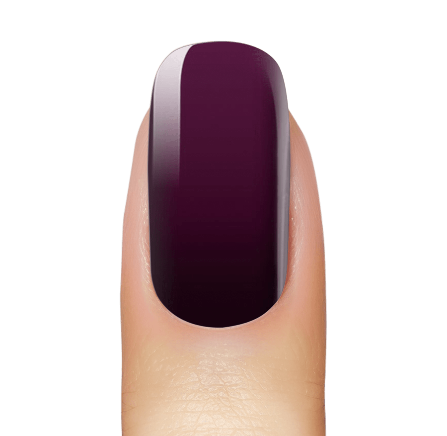 NEW: Cabernet Ombré