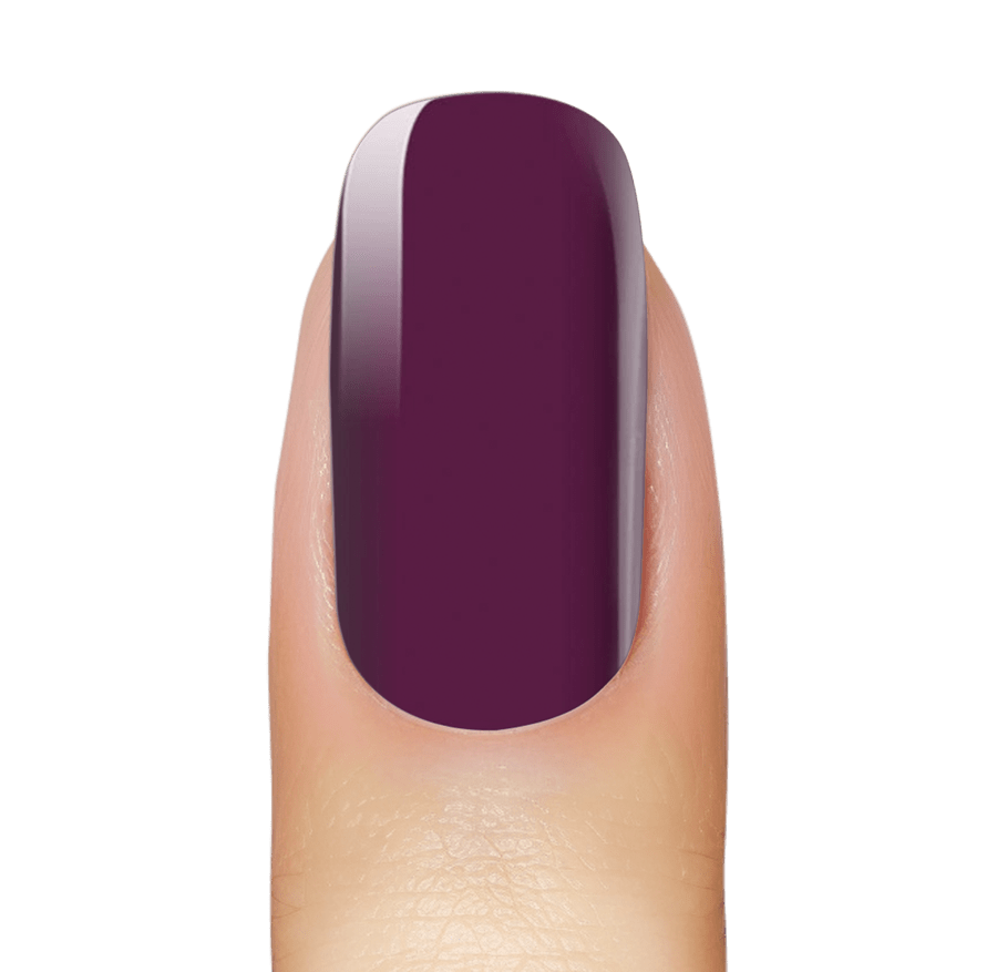 Vineyard Purple